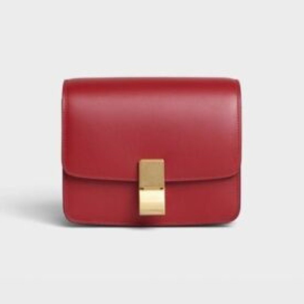 ✨ NWOT ✨ Celine Box Bag